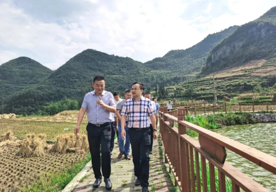 畢節(jié)工業(yè)職業(yè)技術(shù)學(xué)院黨委書記李涌、院長邱國援率隊到鄉(xiāng)村振興駐村聯(lián)系工作點調(diào)研