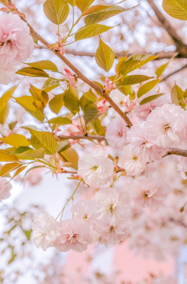 這一陣春風，讓工職院學子為之心動